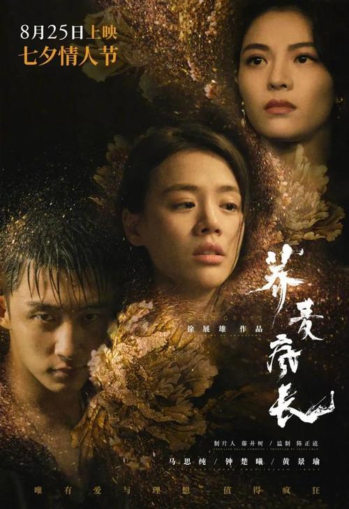 哪里可以办新泽西州身份证